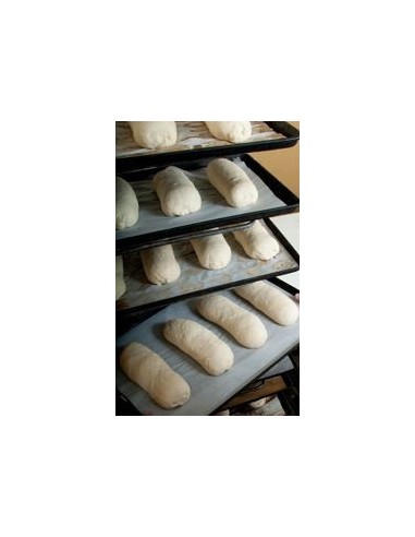 Papier silicone 40x60