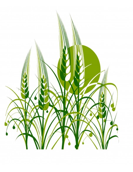 Sacs avec fenêtre d’impression générique